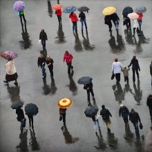 Rainy Day / ***