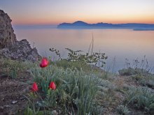 asleep sunset, fog covering the mountains and hills / ***