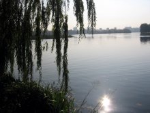 Sunny Day / ***