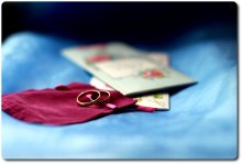 Wedding Accessories / ***