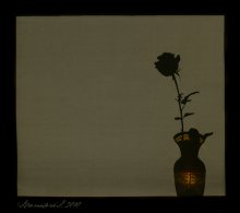 ~ Shadow ~ / ***