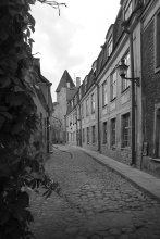 Tallinn lane) / ***