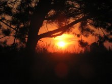 Sunset / ***