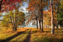 Herbstfarben / **********