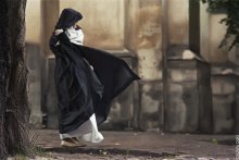 Saint spirit blows / ***