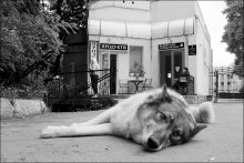 Siesta / *****