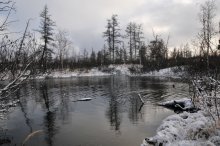 Winter / ***