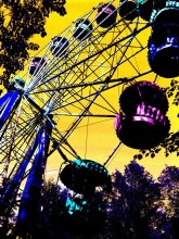 Wheel / ***