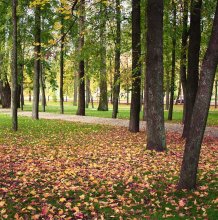 Autumn / ...............