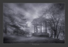 Misty dreams / ***