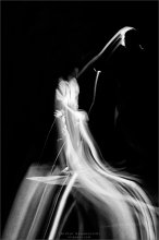 [ Giver Light ] / ***