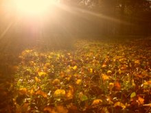Herbst / ***
