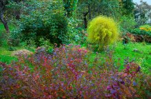 The palette of autumn. / ........