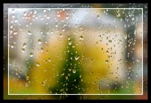 After the rain / .....
