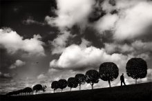 The road to the clouds / ***