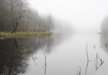Misty mood / .....