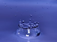 drops / drops