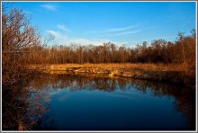 Reflection / -----