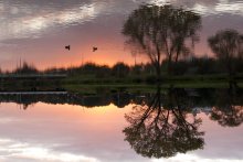 mirror / *****