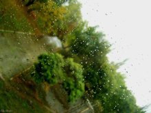 Rain / ***
