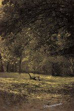 Loneliness / ***
