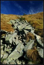 Stone River Carpathians / ***
