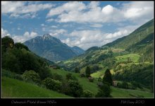 Wenns 1 / ***