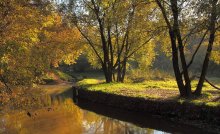Sunny morning / ***********