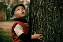 When the Trees Were Tall / *****