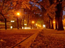 Autumn / *****