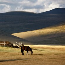 Altai Mountains № 6 / ********
