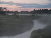 Fog / ***