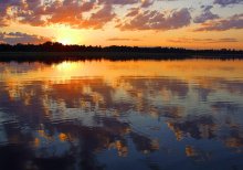 Ripples / ***