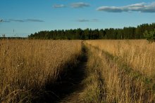 Field / --------------