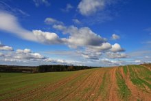 Native open spaces / ***
