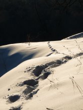 Footprints in the Snow / .........