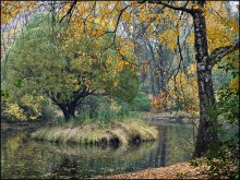 Herbst im Park / ***