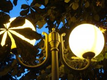 Lantern under the chestnut trees / *****