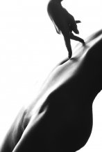 № 57 / no comment!