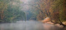 Autumn leaves / Autumn leaves