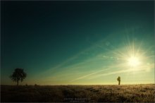 [ NO NAME ] *3 / ***