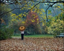 Autumn in the Park-2 / ***