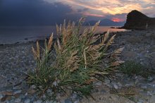 Autumn evening / ***