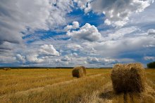 Hay, straw / canon