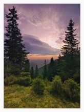 Purple Dawn / ***