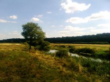 Poleod / ***