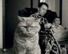 Poslezavtraka / ***