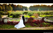 Wedding / ***