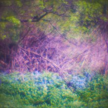 Psychedelic Stimmung / ***