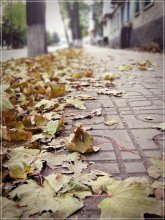 One day in autumn / ............